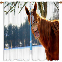Funny Horse Window Curtains 72564896