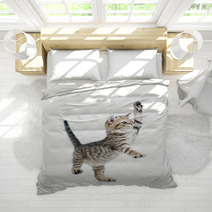 Funny Playful Baby Scottish British Kitten Isolated On White Bac Bedding 60274051