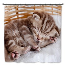 Funny Sleeping Baby Cat Kitten In Wicker Basket Bath Decor 43539402