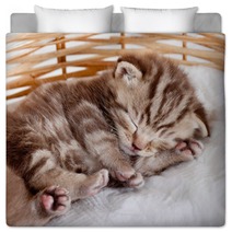 Funny Sleeping Baby Cat Kitten In Wicker Basket Bedding 43539402