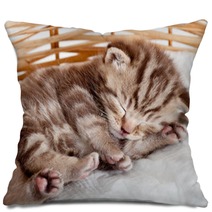 Funny Sleeping Baby Cat Kitten In Wicker Basket Pillows 43539402