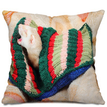 Funny Sleeping Ferret Pillows 64874960