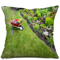 Garden Work Being Done Transplanting Celosia Pillows 66266397
