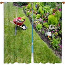 Garden Work Being Done Transplanting Celosia Window Curtains 66266397