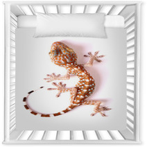 Gecko Climbing Isolated Nursery Decor 50143784