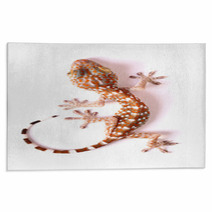 Gecko Climbing Isolated Rugs 50143784