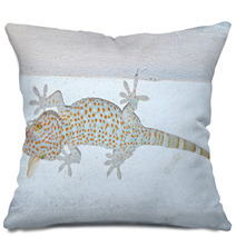 Gecko  Gekkonidae Pillows 67491693