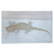 Gecko  Gekkonidae Rugs 67491693