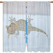 Gecko  Gekkonidae Window Curtains 67491693