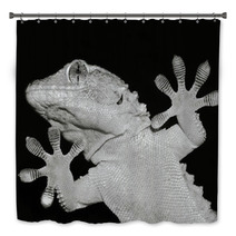 Gecko Lizard Showing His Ten Adesive Fingers Bath Decor 61023501