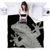 Gecko Lizard Showing His Ten Adesive Fingers Blankets 61023501