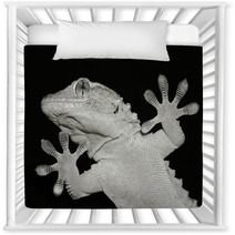 Gecko Lizard Showing His Ten Adesive Fingers Nursery Decor 61023501