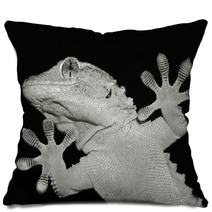 Gecko Lizard Showing His Ten Adesive Fingers Pillows 61023501