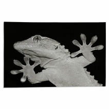 Gecko Lizard Showing His Ten Adesive Fingers Rugs 61023501