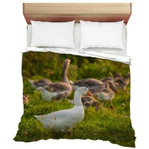 Geese Bedding 66694783