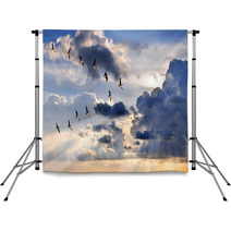Geese Flying In V-Formation Backdrops 63299297