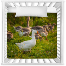 Geese Nursery Decor 66694783