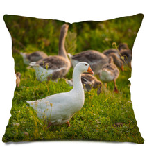 Geese Pillows 66694783