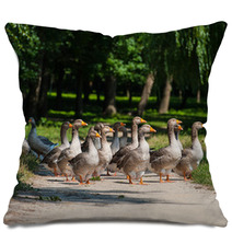 Geese Pillows 66694832