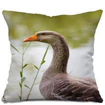 Geese Pillows 99596767