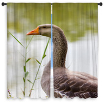 Geese Window Curtains 99596767