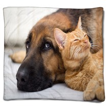 German Shepherd Dog And Cat Together Blankets 58158394