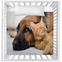 German Shepherd Dog And Cat Together Nursery Decor 58158394