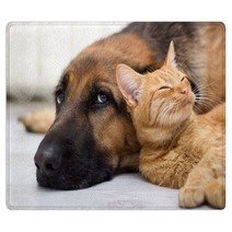 German Shepherd Dog And Cat Together Rugs 58158394