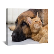 German Shepherd Dog And Cat Together Wall Art 58158394