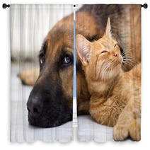 German Shepherd Dog And Cat Together Window Curtains 58158394