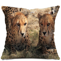 Ghepardo Pillows 59094032