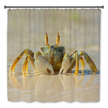 Ghost Crab On Beach Bath Decor 78957468