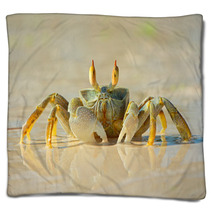 Ghost Crab On Beach Blankets 78957468