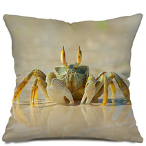 Ghost Crab On Beach Pillows 78957468