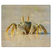 Ghost Crab On Beach Rugs 78957468