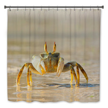 Ghost Crab On Beach Side Bath Decor 73969809