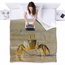 Ghost Crab On Beach Side Blankets 73969809