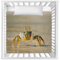 Ghost Crab On Beach Side Nursery Decor 73969809