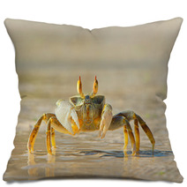Ghost Crab On Beach Side Pillows 73969809