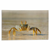 Ghost Crab On Beach Side Rugs 73969809