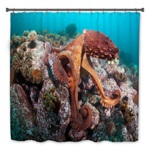 Giant Octopus Dofleini Bath Decor 32177067