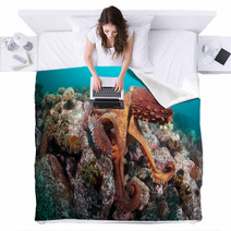 Giant Octopus Dofleini Blankets 32177067