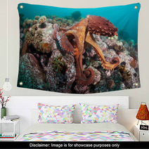 Giant Octopus Dofleini Wall Art 32177067