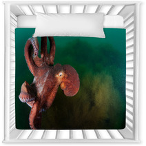 Gigant Octopus In The Deep.  Nursery Decor 96383229