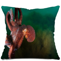 Gigant Octopus In The Deep.  Pillows 96383229