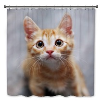 Ginger Kitten Bath Decor 38425363