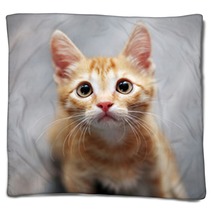 Ginger Kitten Blankets 38425363