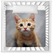 Ginger Kitten Nursery Decor 38425363
