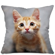 Ginger Kitten Pillows 38425363
