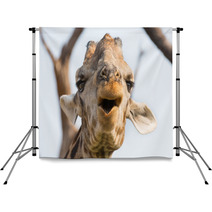 Giraffe In Namib Backdrops 61350390